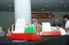 fotbridg01024_small.jpg
