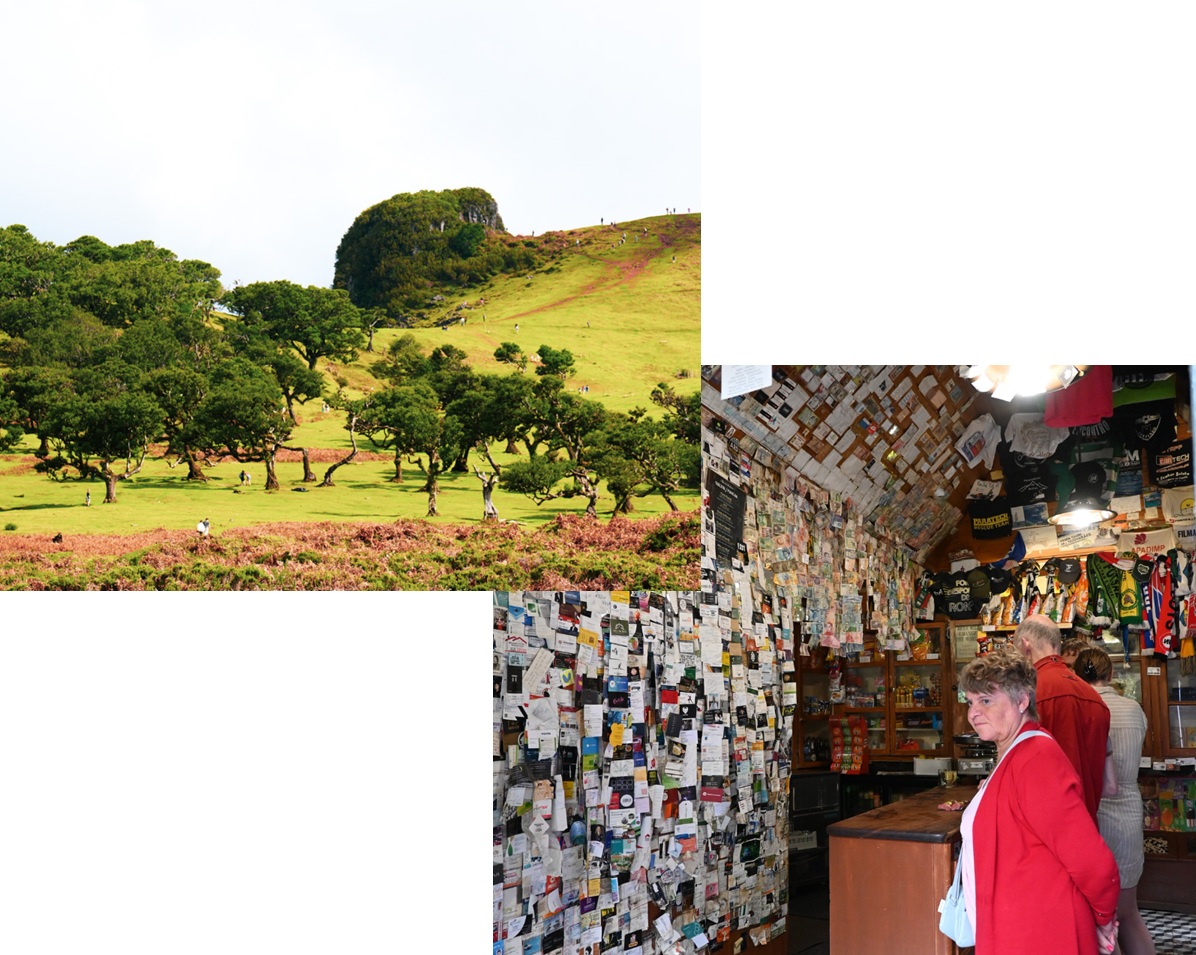 Bus tour composite