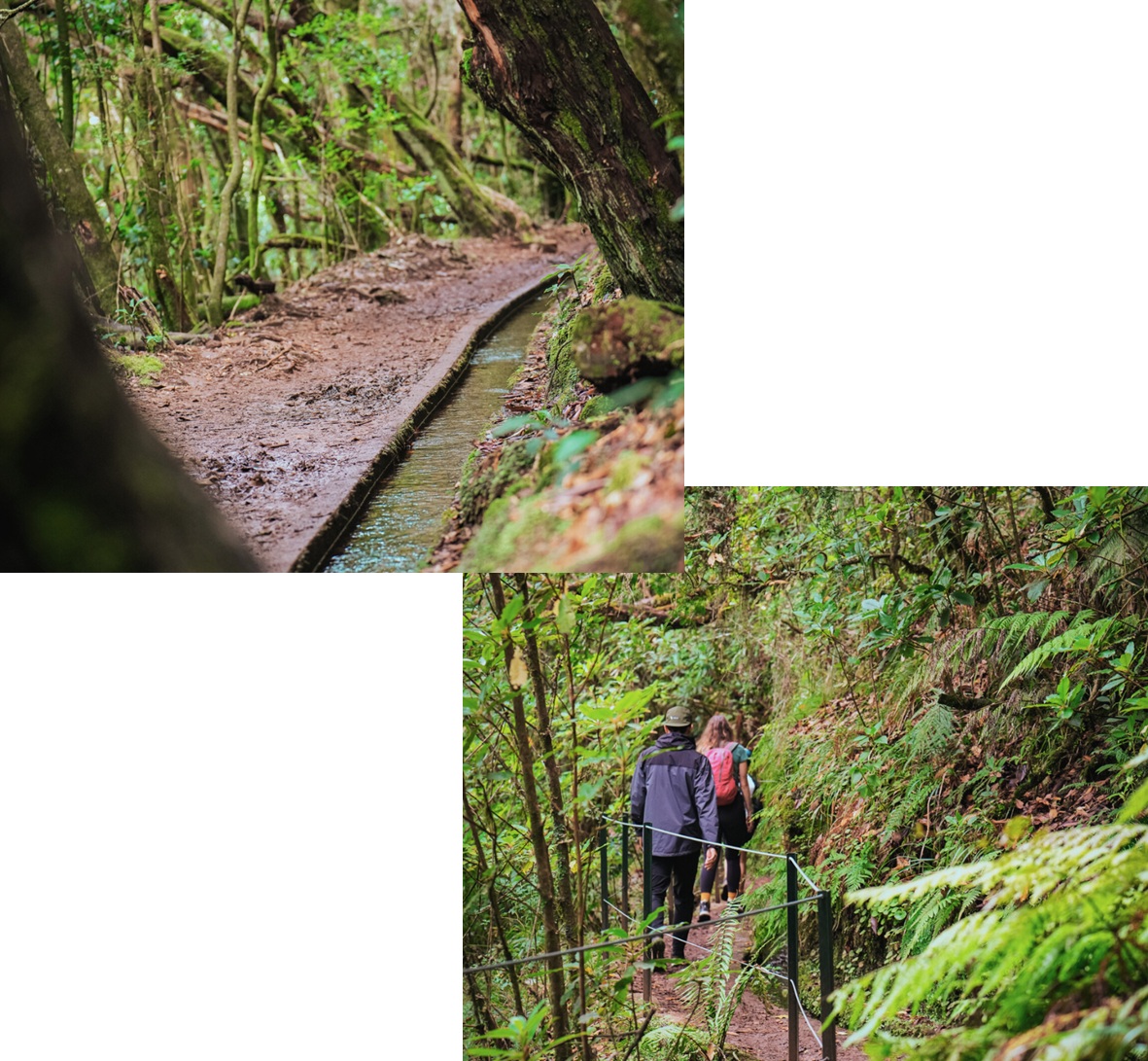Levada composite